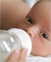 flesvoeding flesvoeding