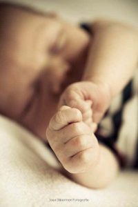 kraamtijd Kraamtijd - Duin en Dijk